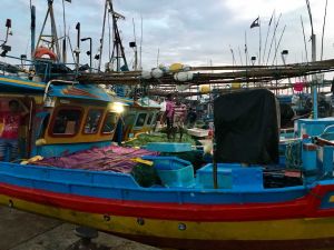 IMG 3316 (Bearbeitet)